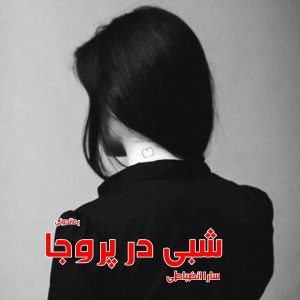 دانلود رمان پی دی اف شبی در پروجا از سارا انضباطی رمان پی دی اف رایگان