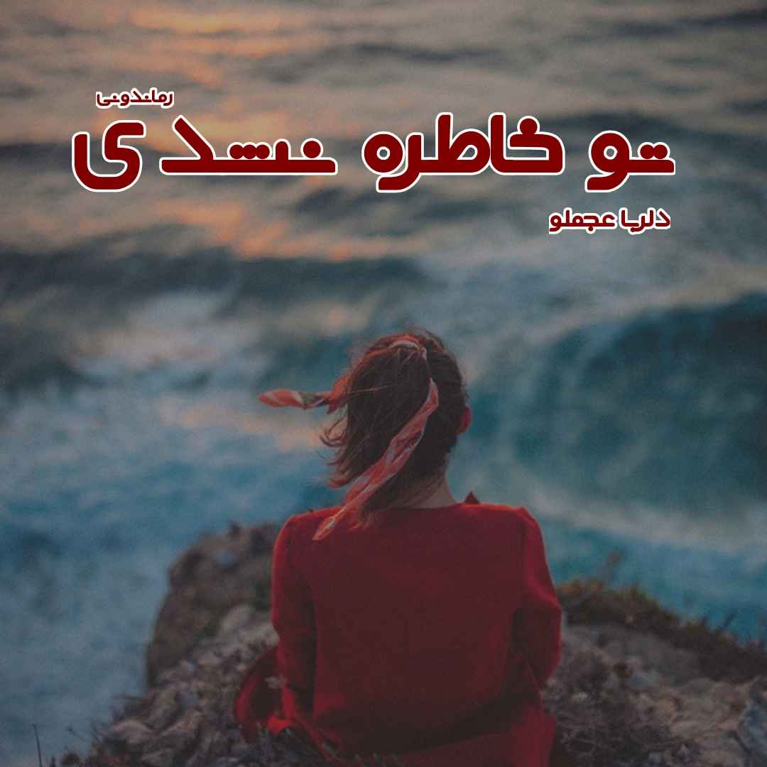 دانلود رمان پی دی اف تو خاطره نشدی از دلربا عجملو رمان پی دی اف رایگان