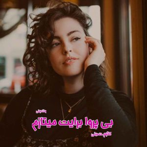دانلود رمان پی دی اف بی پروا برایت میتازم از کلثوم حسینی رمان پی دی اف رایگان