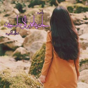 دانلود رمان پی دی اف جان پناه و کارداجین (دو جلد در یک فایل) از ندا اسکندری رمان پی دی اف رایگان