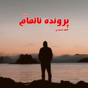 دانلود رمان پی دی اف پرونده ناتمام از الهه محمدی رمان پی دی اف رایگان