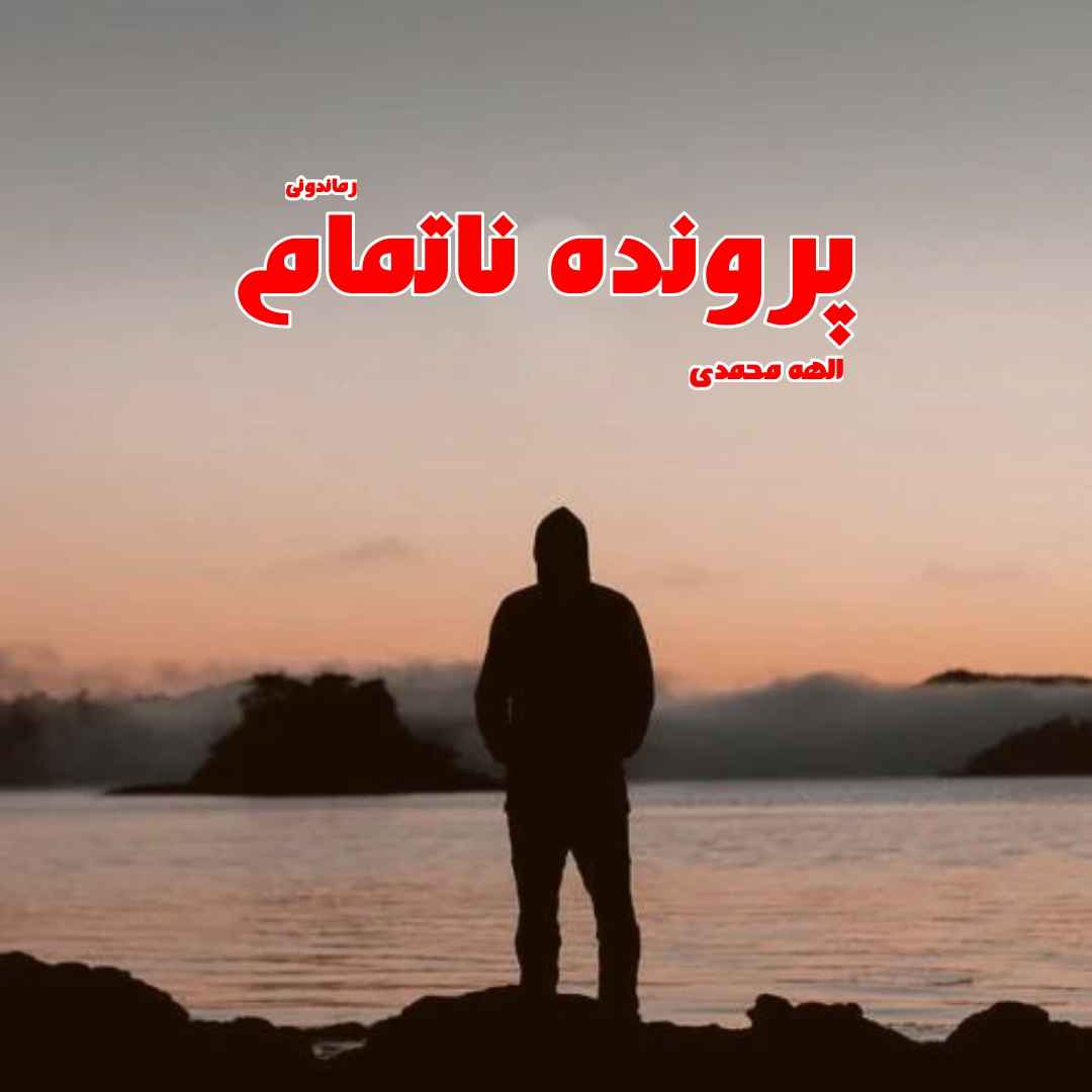 دانلود رمان پی دی اف پرونده ناتمام از الهه محمدی رمان پی دی اف رایگان