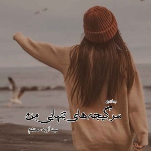 دانلود رمان پی دی اف سرگیجه های تنهایی من از سید آوید محتشم رمان پی دی اف رایگان