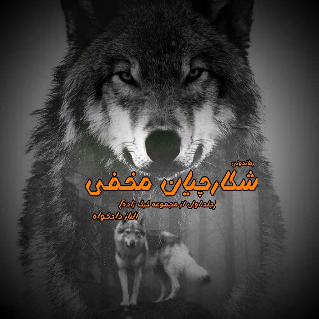 دانلود رمان پی دی اف شکارچیان مخفی (جلد اول از مجموعه گرگ زاده) از الناز دادخواه رمان پی دی اف رایگان