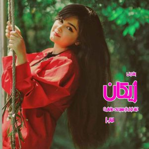 دانلود رمان پی دی اف ژیکان (جلد اول از مجموعه هایش) از میم.ز رمان پی دی اف رایگان