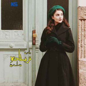 دانلود رمان پی دی اف فرستاده از مهسا حسینی رمان پی دی اف رایگان