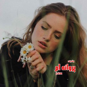 دانلود رمان پی دی اف پروانه ام از صدف.ز رمان پی دی اف رایگان