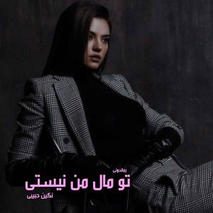 دانلود رمان پی دی اف تو مال من نیستی از نگین حبیبی رمان پی دی اف رایگان