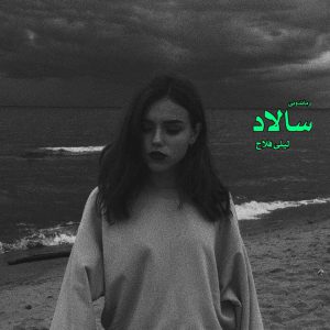 دانلود رمان پی دی اف سالاد از لیلی فلاح رمان پی دی اف رایگان