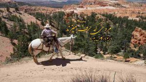 رمان پی دی اف مردی که حرف می‌زند 