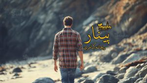 رمان پی دی اف پینار