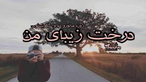 دانلود کتاب درخت زیبای من اثر ژوزه مائورو ده واسکونسلوس