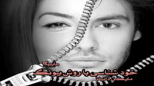 دانلود کتاب خودشناسی با روش یونگ اثر مایکل دانیلز