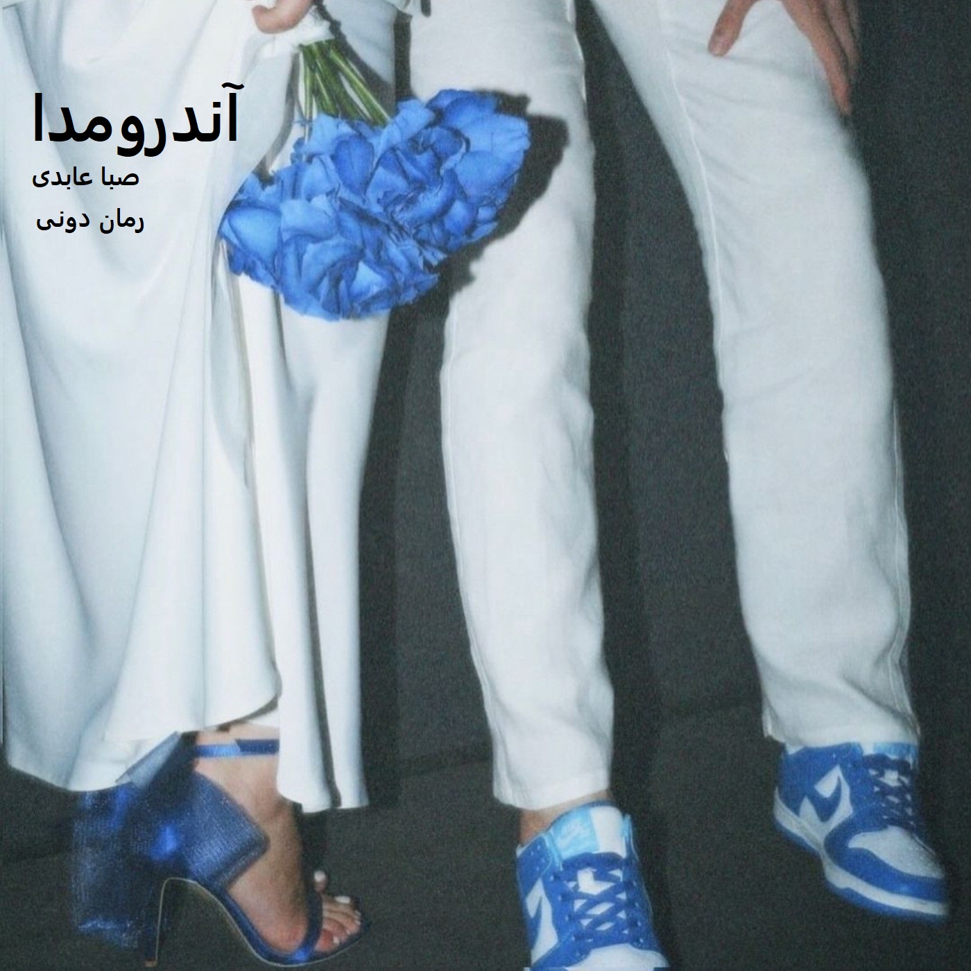 رمان پی دی اف آندرومدا